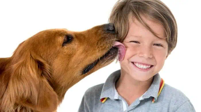 Pet giving affectionate kisses to their owner, capturing the loving connection during the pet's relocation journey.