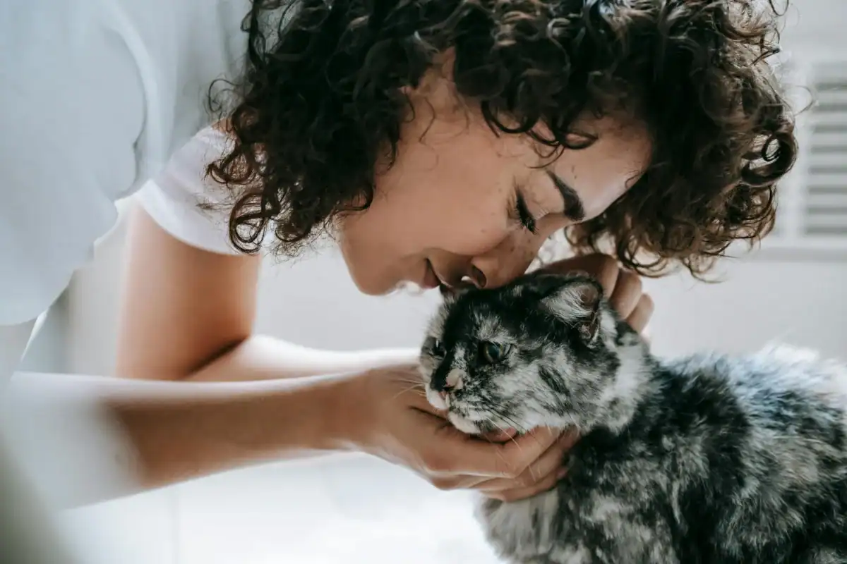 Pet owner and their cat waiting by the front door for their door-to-door pet transport driver to arrive.