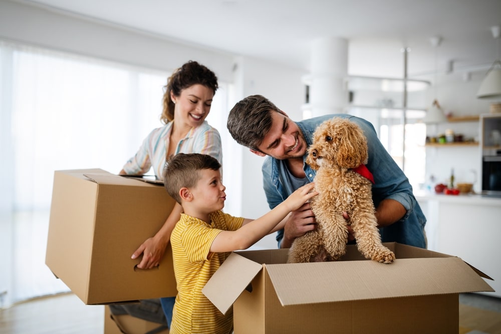 Happy family moving into a new home with their pet dog. Smiling parents and child unpacking boxes, with a curly-haired dog sitting inside one, symbolizing a pet-friendly move.