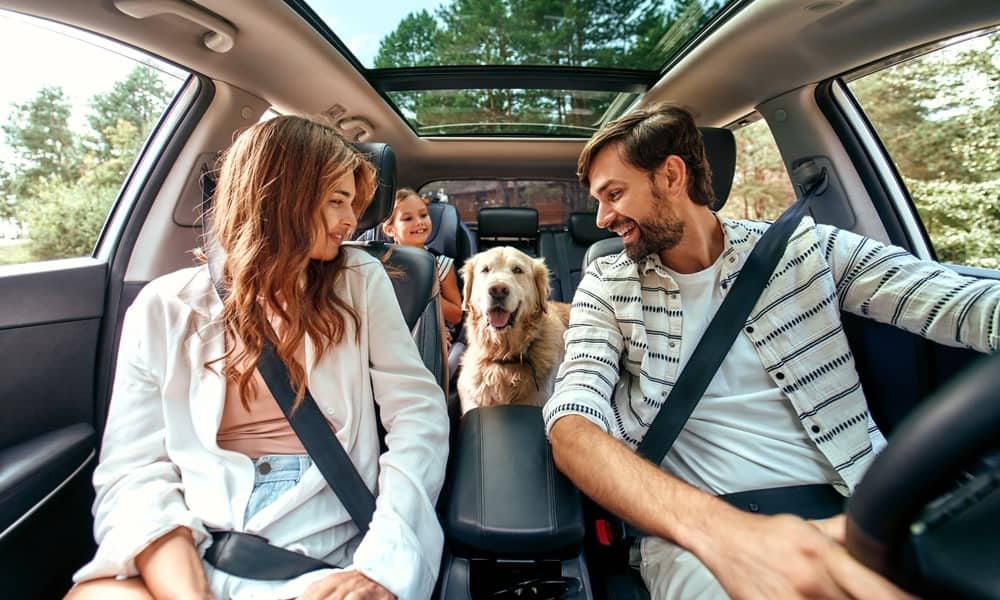 A family of three driving with their golden retriever, symbolizing long-distance pet transport.