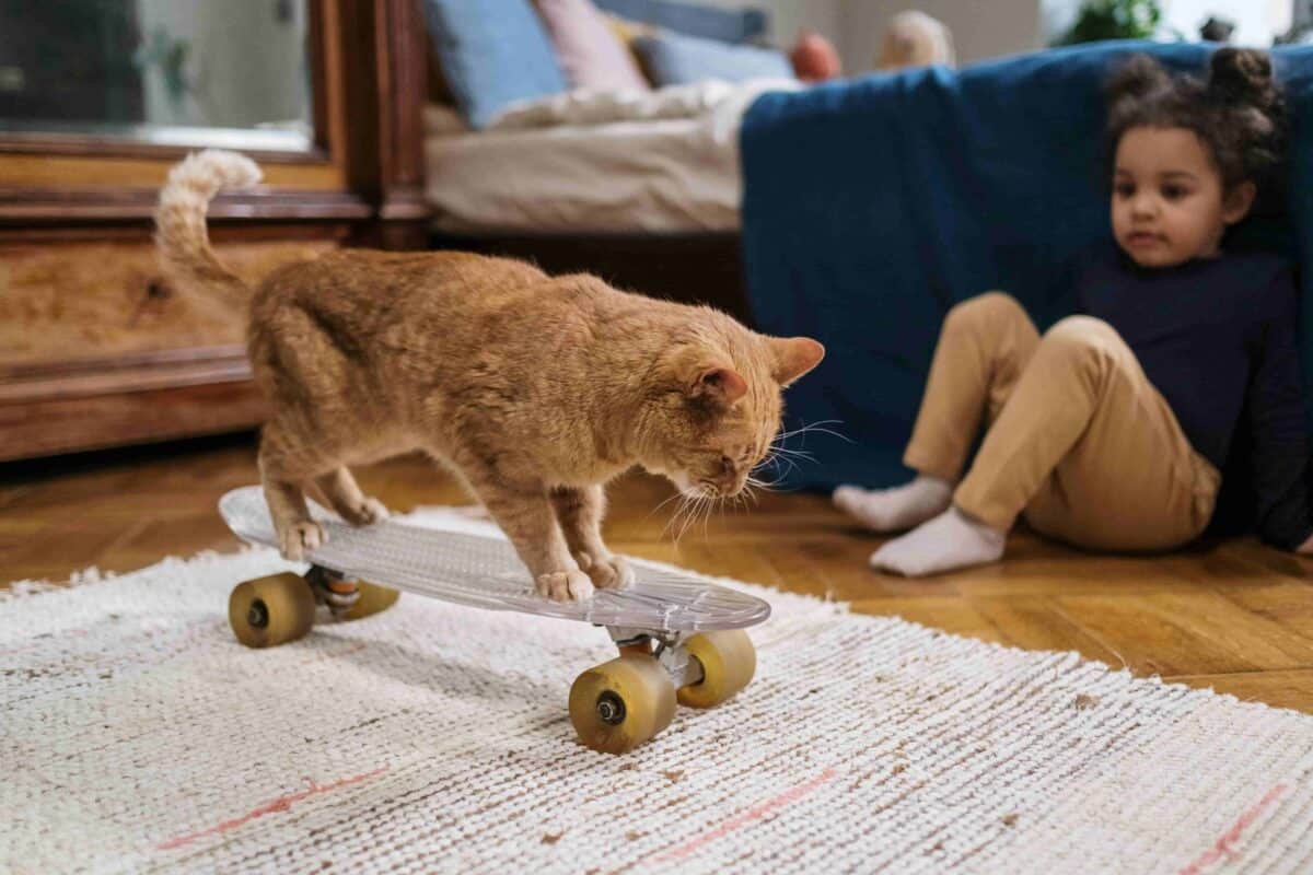 An orange tabby cat riding a skateboard in the living room while its younger human sibling watches