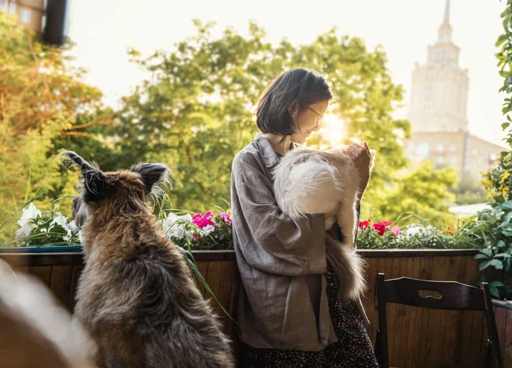Young woman with her pets cat and dog on the green terrace enjoying the summer sunset in city.