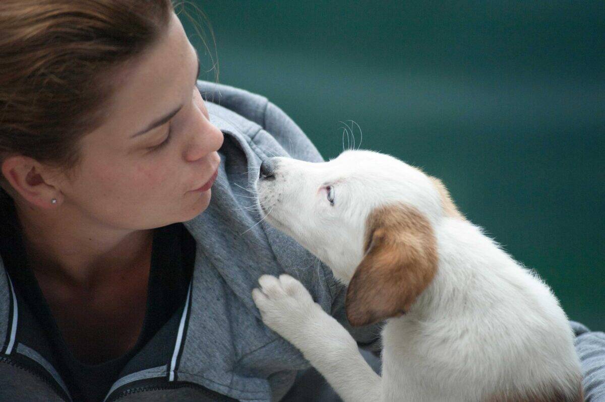 Woman in a grey jacket leans in as a small white puppy with brown ears reaches a paw onto her shoulder, their noses almost touching in a sweet, affectionate moment.
