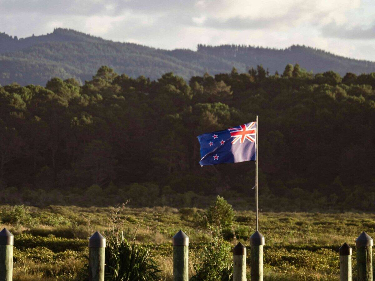 New Zealand flag in a forest clearing, symbolizing pet transport to New Zealand.