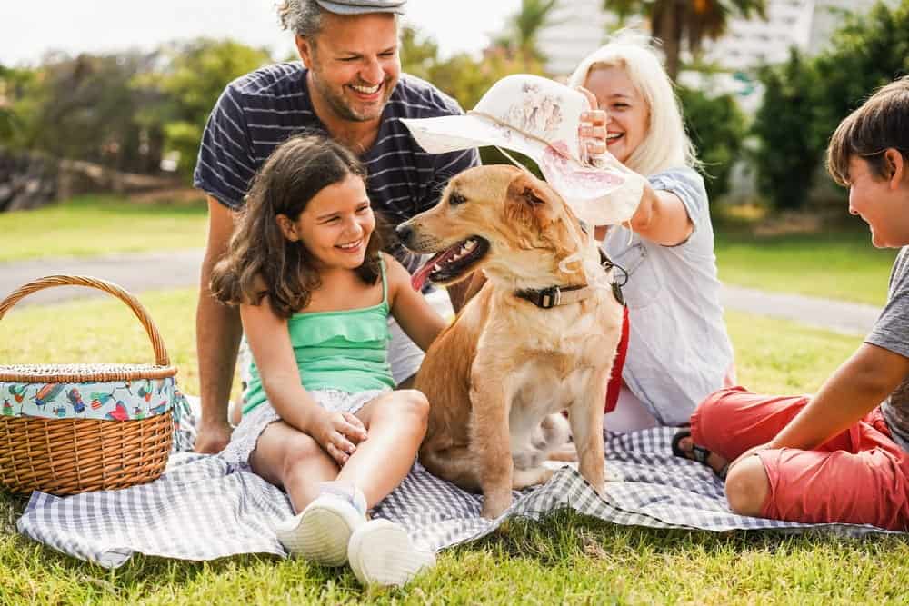 Happy family with their dog in a park before an international pet move.