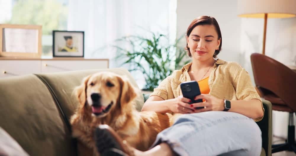 Pet parent on couch with golden retriever.