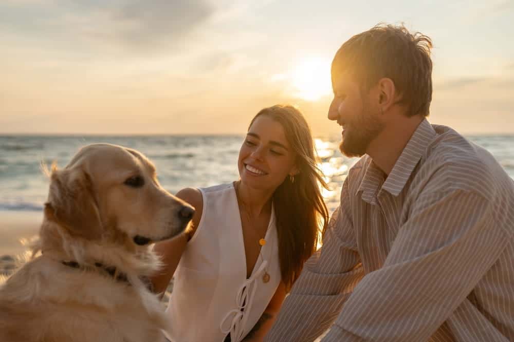 Featured image for “5 Things You Should Know Before Moving Your Pet”