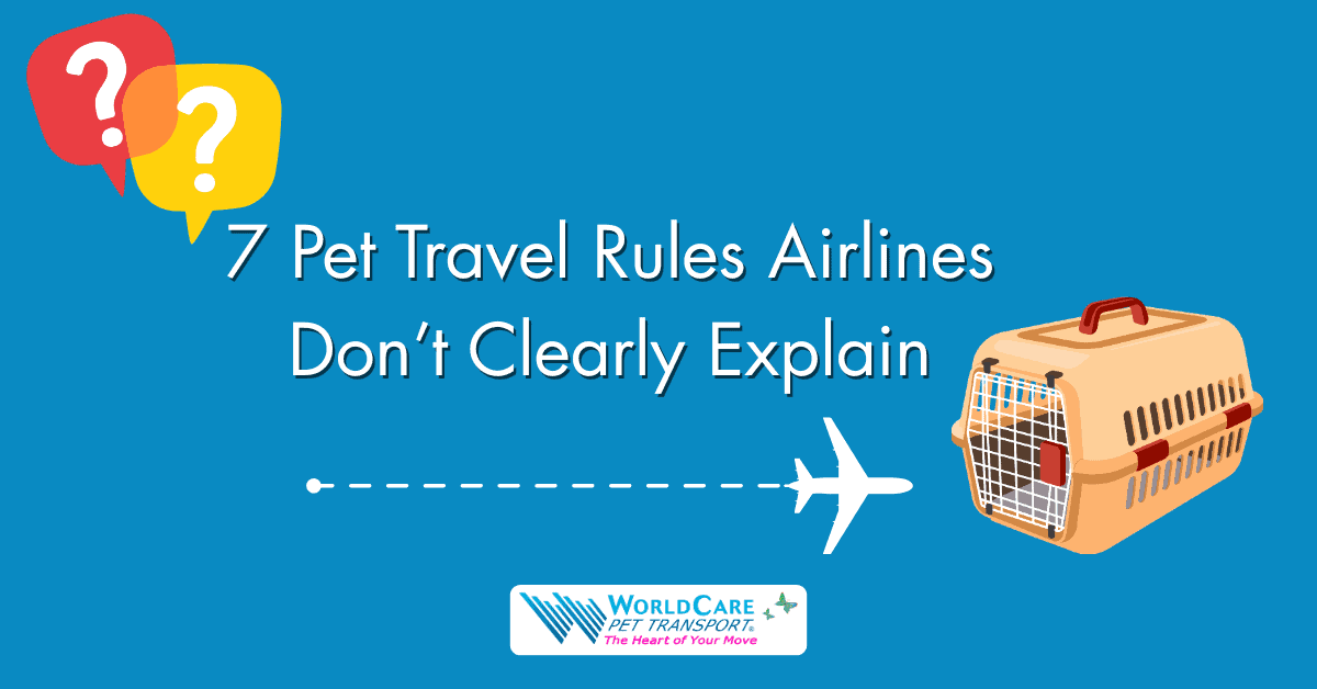 international pet travel, pet travel requirements, pet denied boarding, flying pets internationally, pet cargo safety