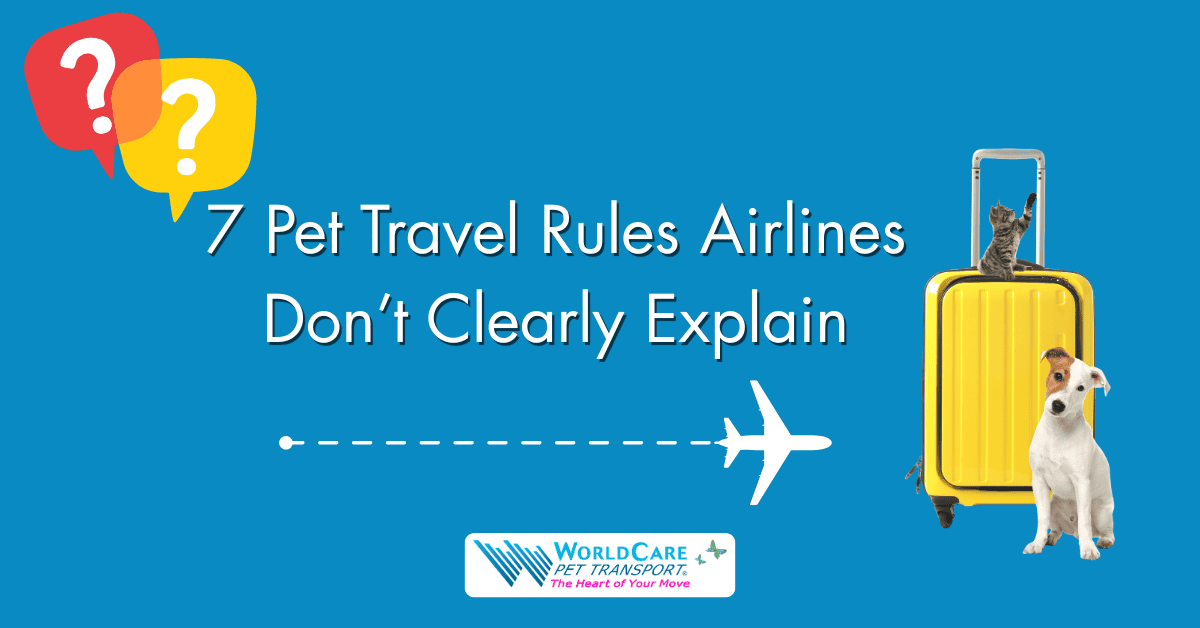 international pet travel, pet travel requirements, pet denied boarding, flying pets internationally, pet cargo safety