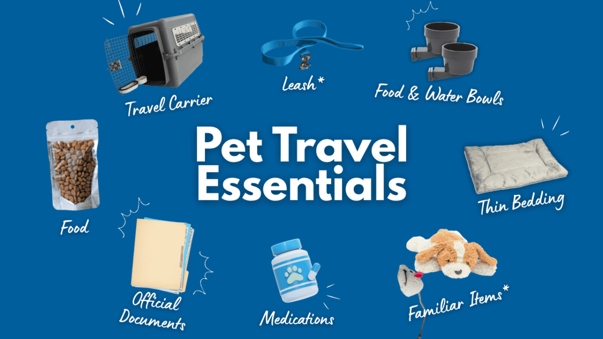 pet travel carrier checklist, what to pack in a pet travel carrier, pet go-bag for travel, IATA pet carrier requirements, international pet travel documents, pet relocation checklist