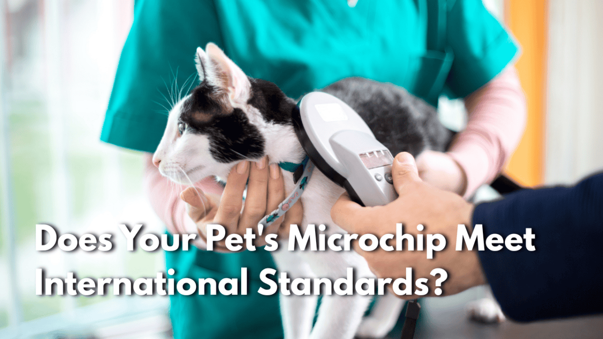 pet microchip international travel, ISO 11784 11785 microchip, pet microchip requirements by country, microchip before rabies vaccine, AVID microchip international travel