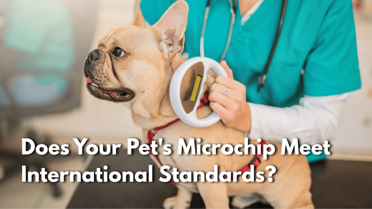 pet microchip international travel, ISO 11784 11785 microchip, pet microchip requirements by country, microchip before rabies vaccine, AVID microchip international travel