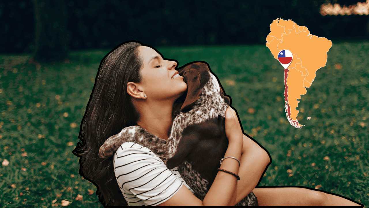 Featured image for “Moving to Chile With a Pet? Here’s What to Know Before You Go”