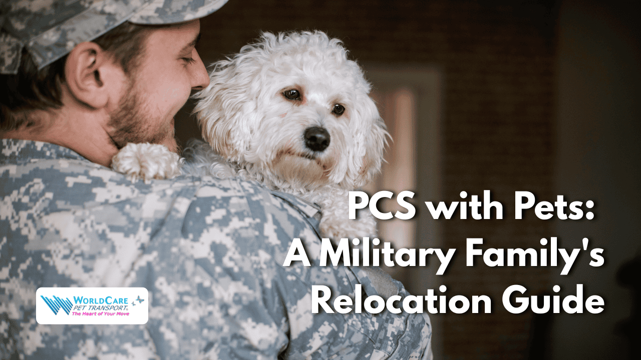 Featured image for “PCS with Pets: What Military Families Should Know Before They Move”