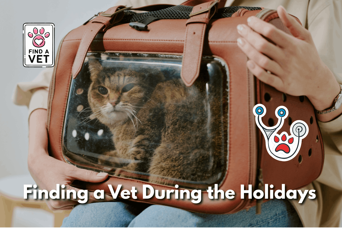 A person holds a brown leather cat carrier with a tabby cat inside, alongside a stethoscope icon and text reading 'Finding a Vet During the Holidays'