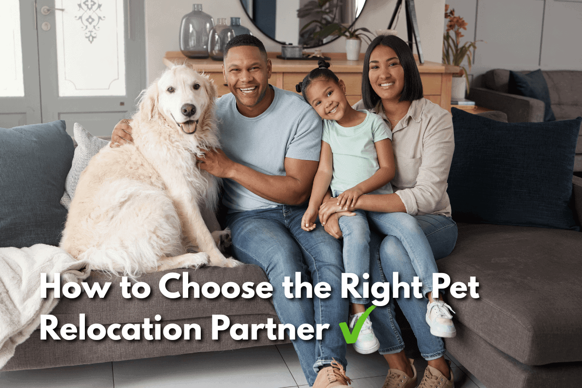 Family sitting on a couch with their dog illustrating how to choose the right pet relocation partner.