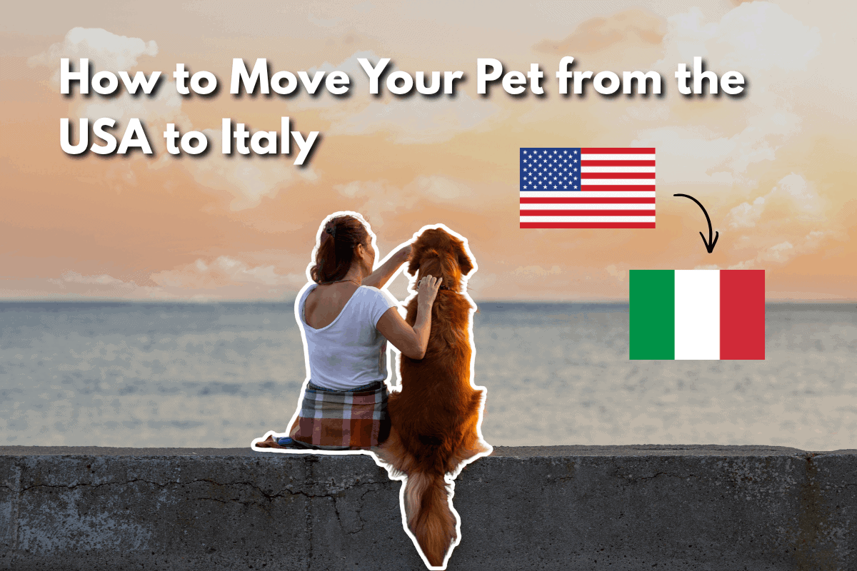 Woman and golden retriever sitting on an oceanside wall at sunset, with a USA flag and arrow pointing to an Italy flag, illustrating how to move your pet from the USA to Italy.