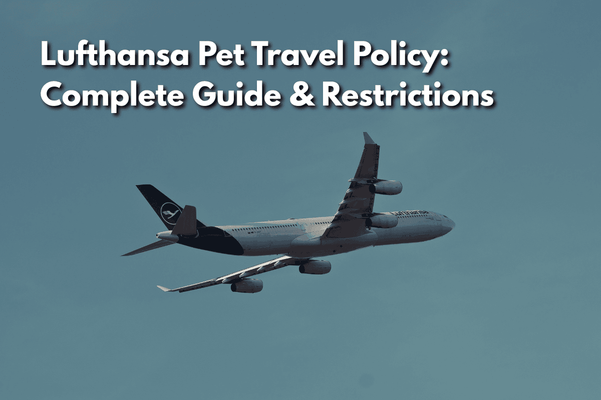 Lufthansa aircraft flying against a blue sky with text overlay reading Lufthansa Pet Travel Policy: Complete Guide & Restrictions.