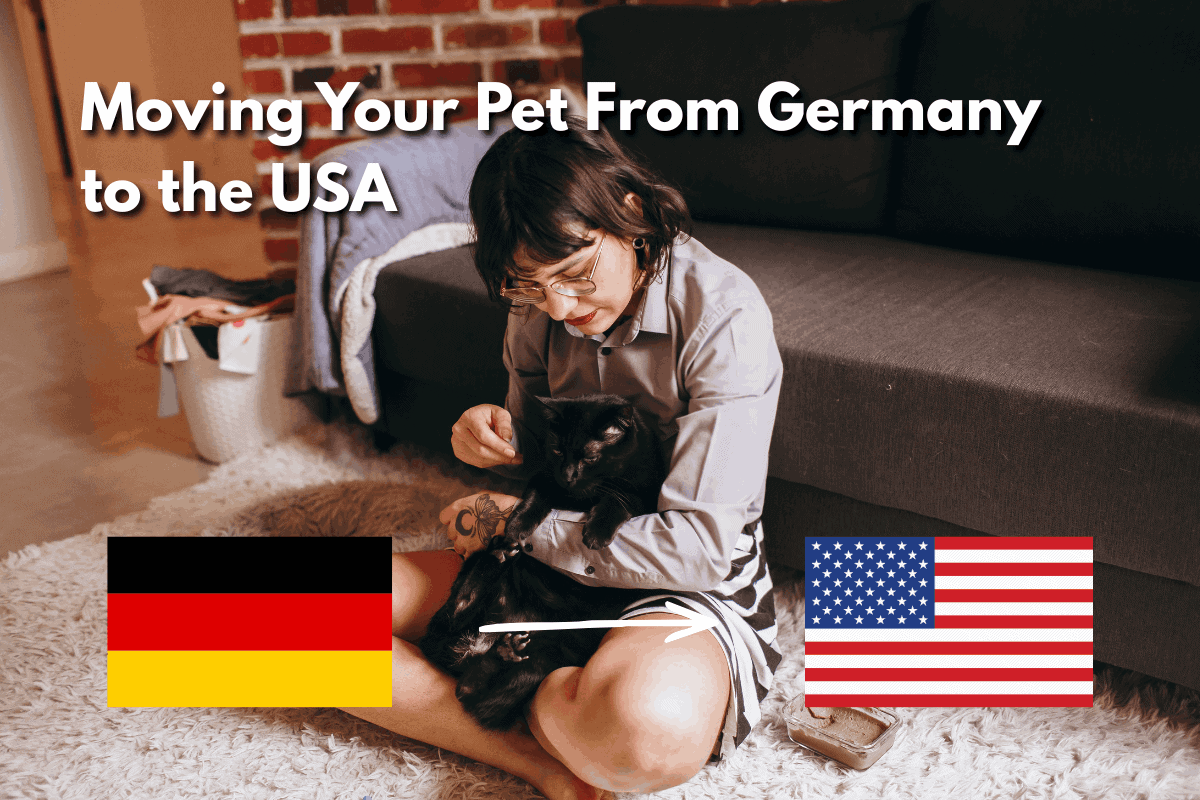 A woman sits on a shag rug petting a black cat in her lap, with a brick wall and dark sofa behind her. Text reads 'Moving Your Pet From Germany to the USA,' with the German flag on the left and the American flag on the right, connected by an arrow pointing from Germany to the USA.