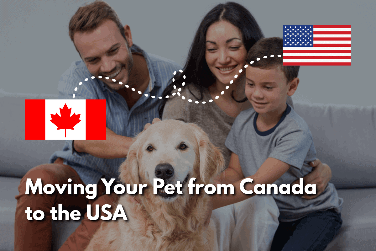 Family with a golden retriever sitting on a couch, with a dotted line connecting the Canadian flag to the American flag above them, and text reading 'Moving Your Pet from Canada to the USA.'