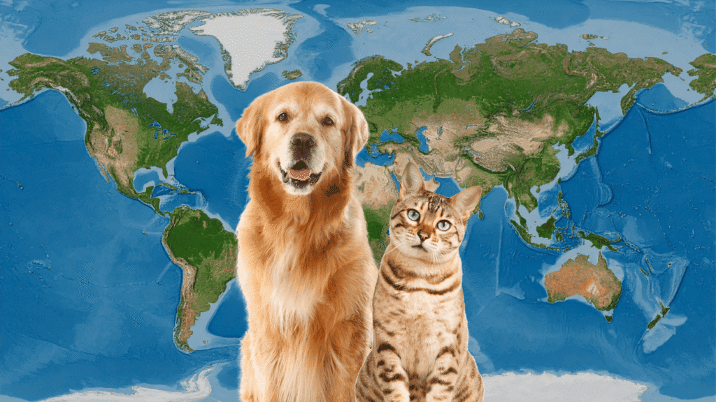 A dog and cat sit side by side in front of a world map background, with a golden retriever on the left and a tabby cat on the right, both facing the camera against a blue-toned satellite view of the continents.