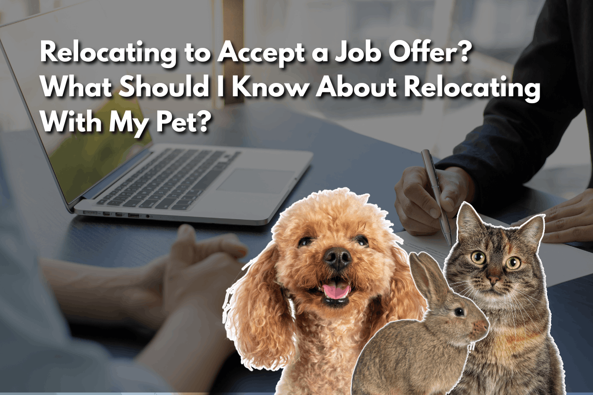 Featured image for a blog post titled 'Relocating to Accept a Job Offer? What Should I Know About Relocating With My Pet?' showing cutout images of a poodle, rabbit, and tabby cat overlaid on a photo of two people signing paperwork at a desk with a laptop.