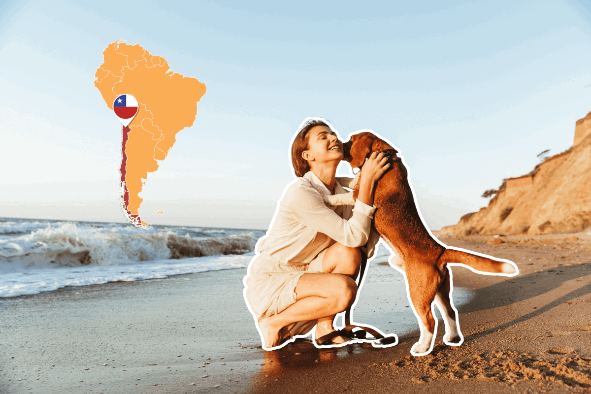 Woman kneeling on a beach embracing her dog, with a map of South America highlighting Chile's location.