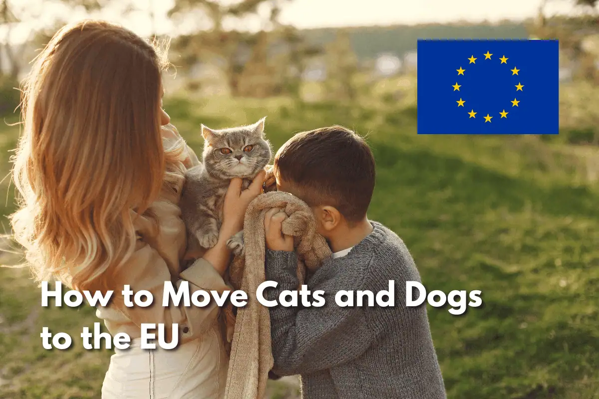 Woman and child holding a gray cat outdoors, with the European Union flag in the corner and text reading 'How to Move Cats and Dogs to the EU'