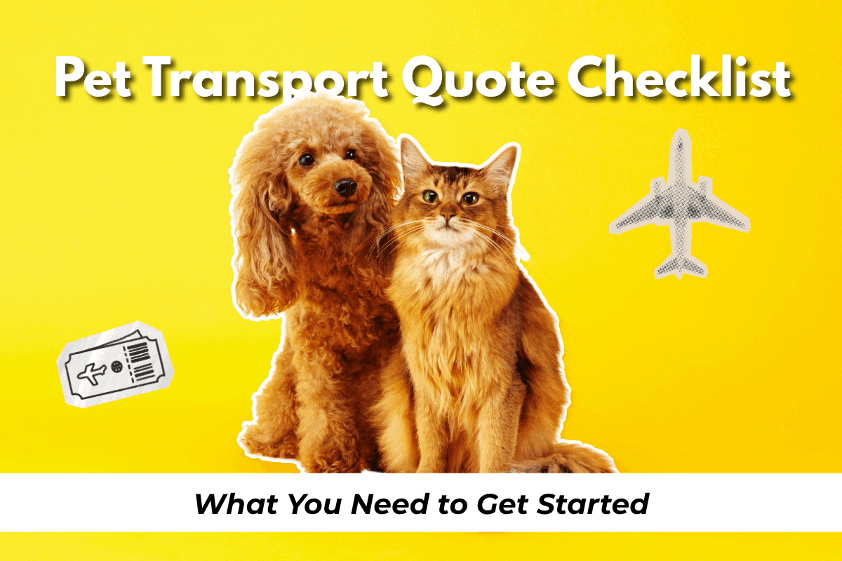 A poodle and a cat sitting side by side against a bright yellow background, with illustrated icons of a plane ticket and airplane, under the text 'Pet Transport Quote Checklist: What You Need to Get Started.'