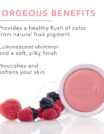 Fruit-pigmented-blush-swatch1