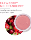Fruit-pigmented-blush-swatch2