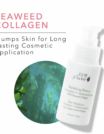 Mattifying-Primer-ingredients