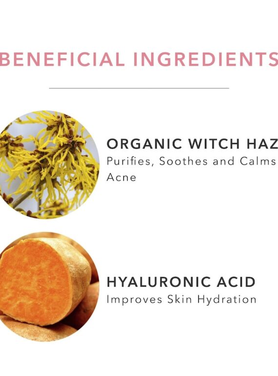 sea-culture-hydrating-essence-key-ingredients