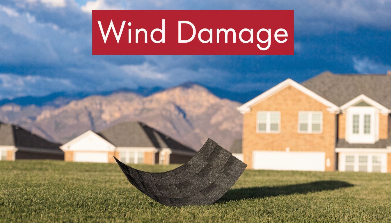 A loose roof shingle lying on a grassy lawn in front of a suburban house.