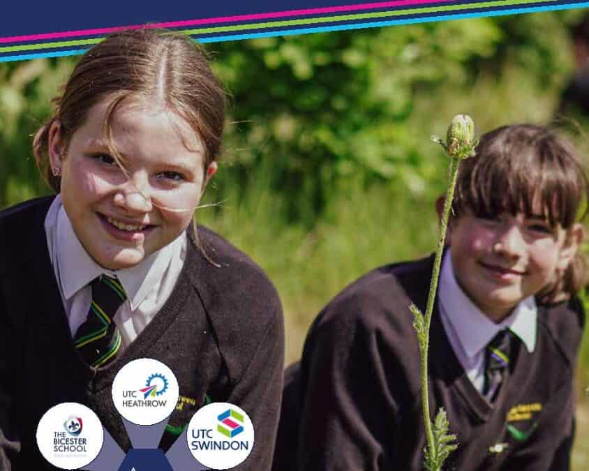 Trust annual report published