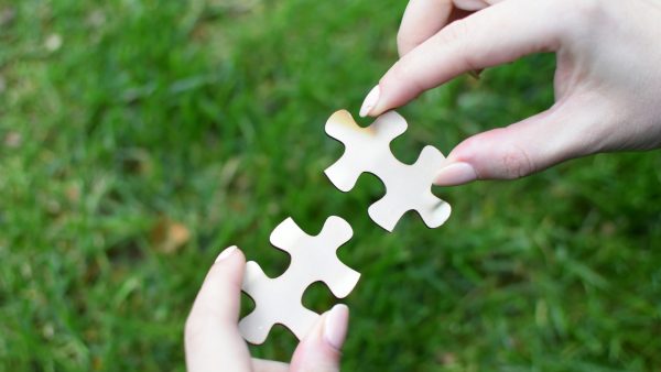 Jigsaw pieces