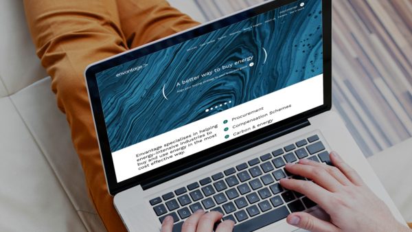 Web development