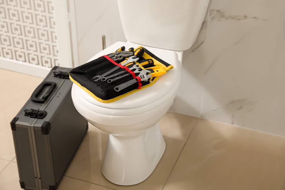 Toilet Repair And Replacement Services In Hoffman Estates, IL: What You Should Know