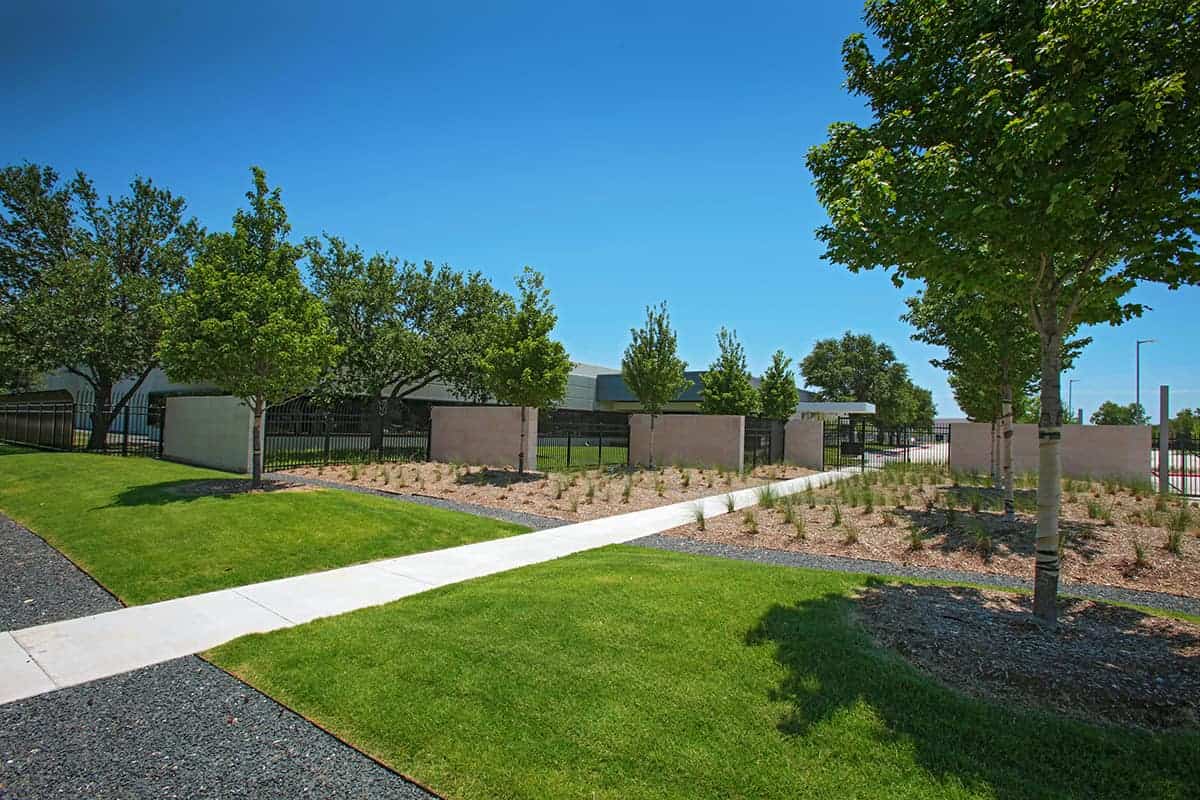 Modern landscaped garden with pathway and trees.