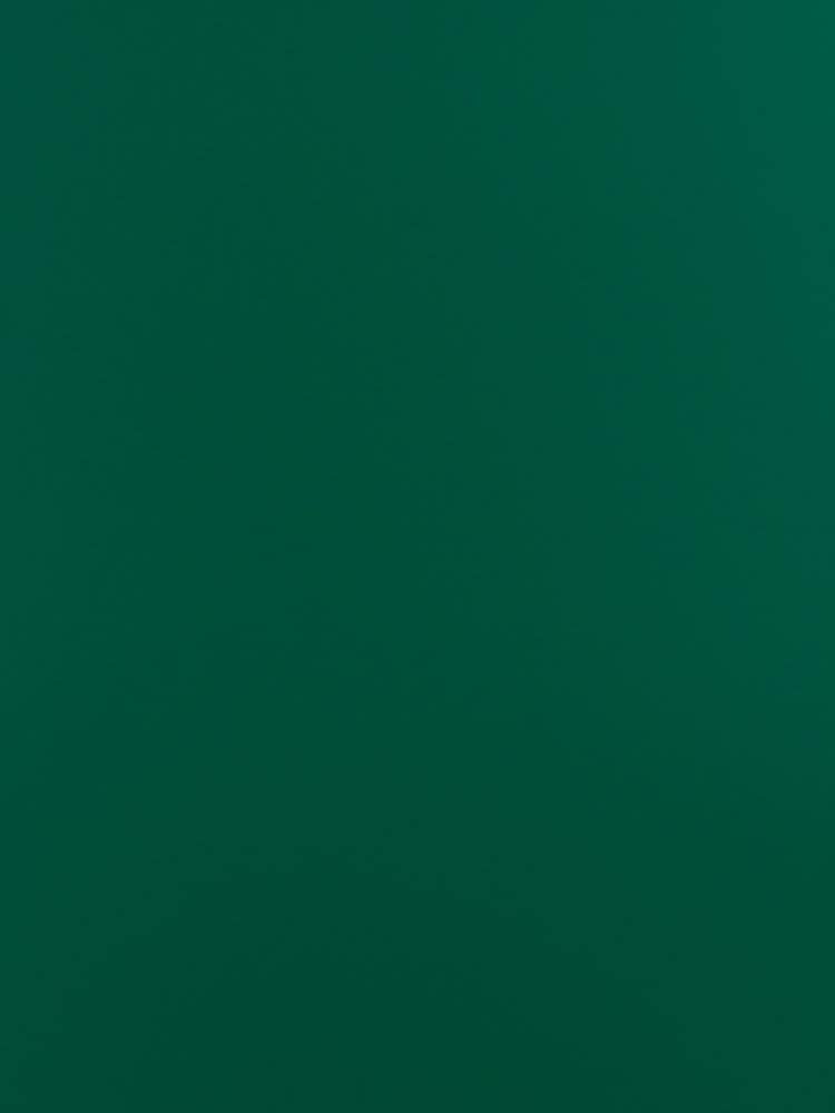 AI 50 Olive Green