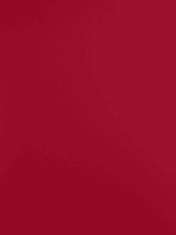 AI 87 Maroon Red