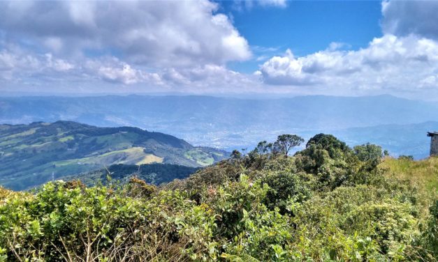 ¿Por qué es recomendable caminar?
