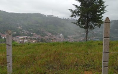 Angostura recupera zona conocida como planta de sacrificio