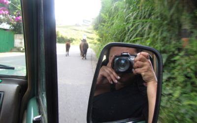 Concurso de fotografía en Campamento