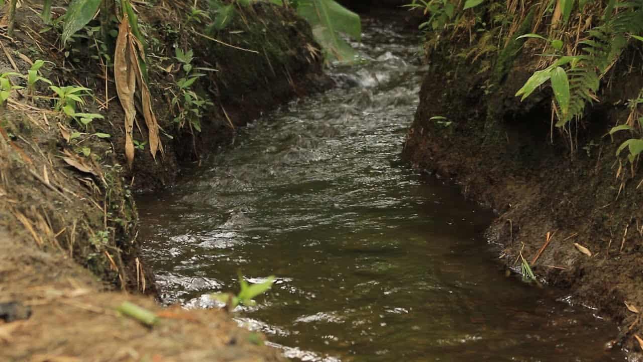 En Entrerríos el agua es un tesoro