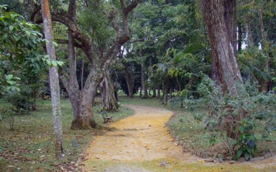 Recuperación de espacios en Angostura