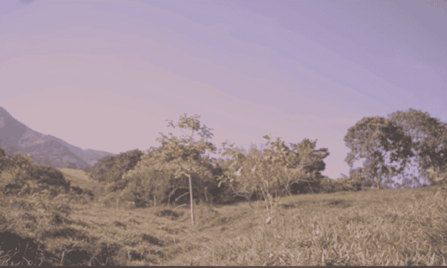 Barbosa construirá nuevo colegio rural
