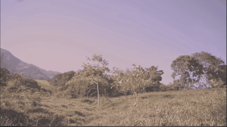 Barbosa construirá nuevo colegio rural
