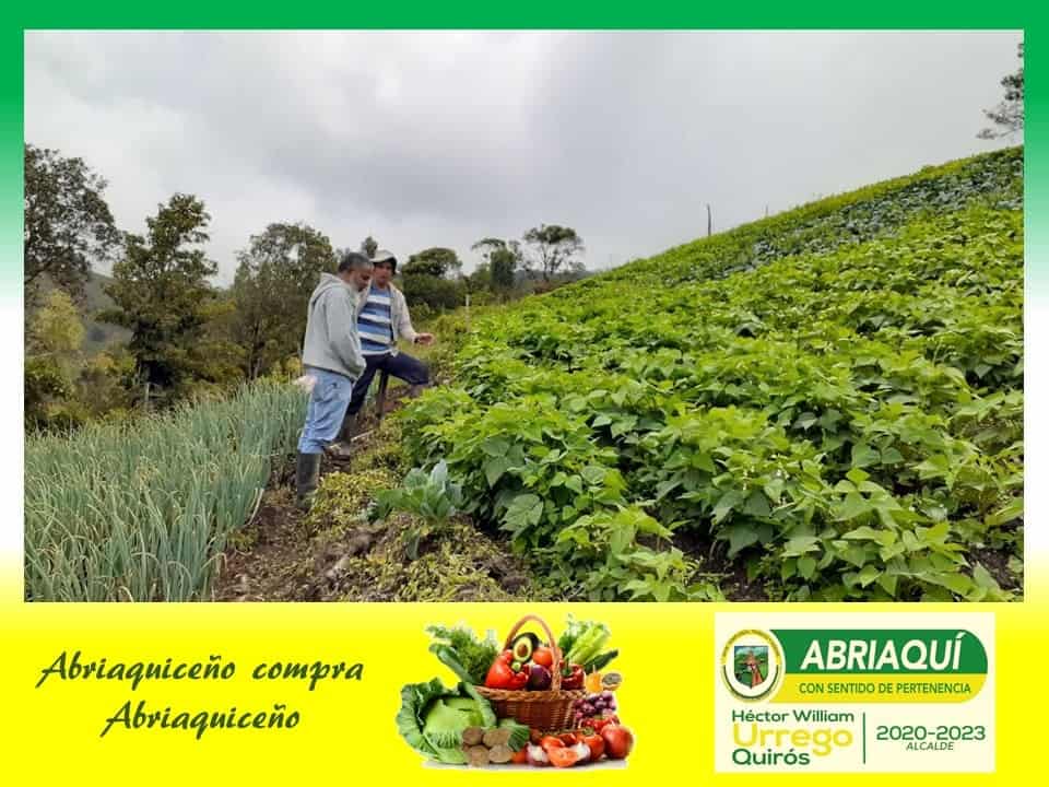 En Abriaquí se realizará el primer mercado campesino