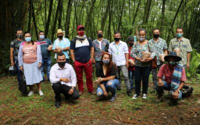 Cocorná entrega insumos para sembrar arroz